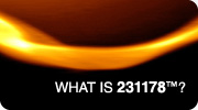 What is 231178™?